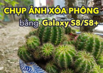 Chụp ảnh