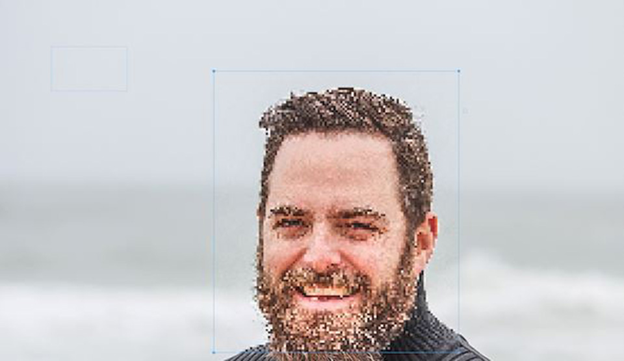 Ứng dụng Redact and Blur Portions of an Image