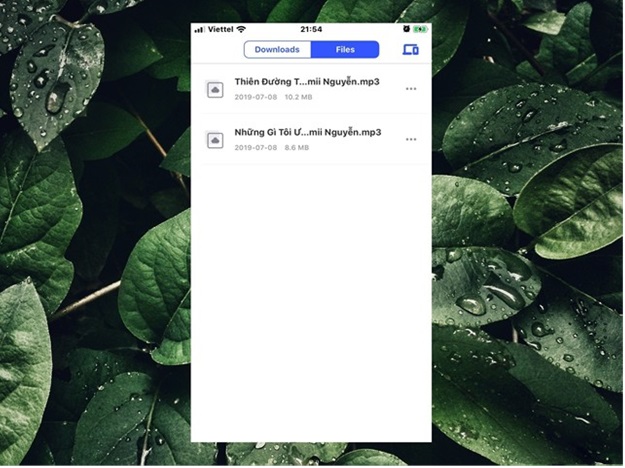 Sau khi hoàn thành, tập tin sẽ chuyển sang tab Files