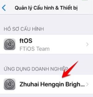 Chọn Install hay Setup để tải ứng dụng