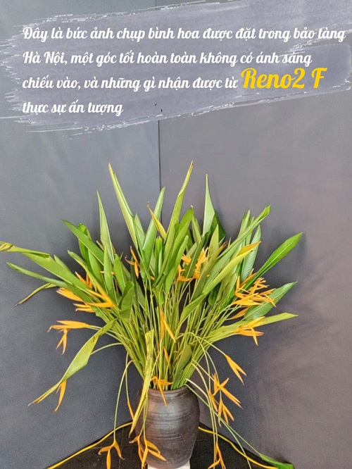 Tích hợp chế độ Ultra Night Mode 2.0 với khả năng chụp thiếu sáng xuất sắc