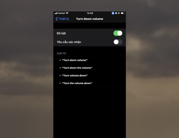 Người dùng phải xác nhận bất cứ khi nào nói ra lệnh