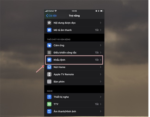 Chọn tiếp Khẩu lệnh khi các danh sách tùy chọn thiết lập hiện ra.