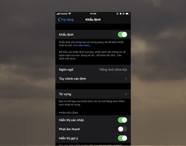 Hệ thống sẽ tiến hành tải xuống các dữ liệu Voice Control