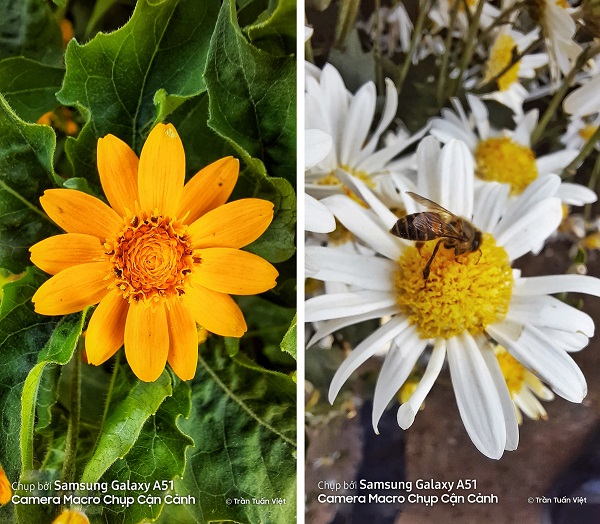 Ảnh: Trần Tuấn Việt