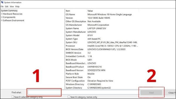 Mở cửa sổ System Information và nhập từ khóa để xem thông tin