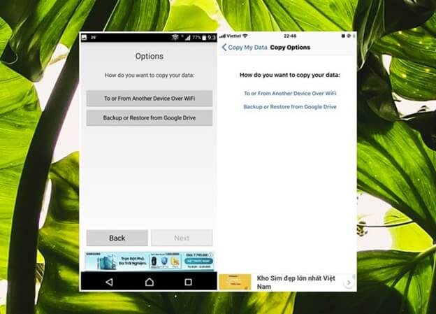 Cách dùng Copy My Data (5)