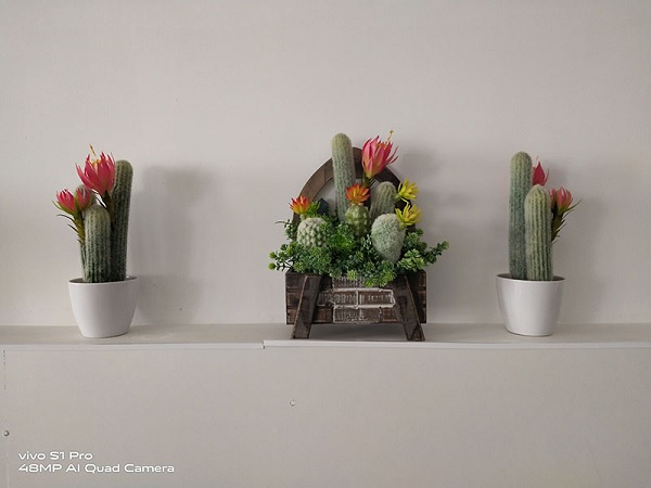 Ảnh chụp trong nhà