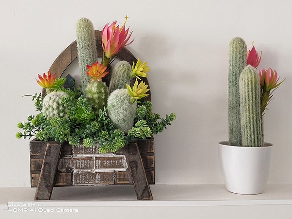 Ảnh chụp zoom 2x