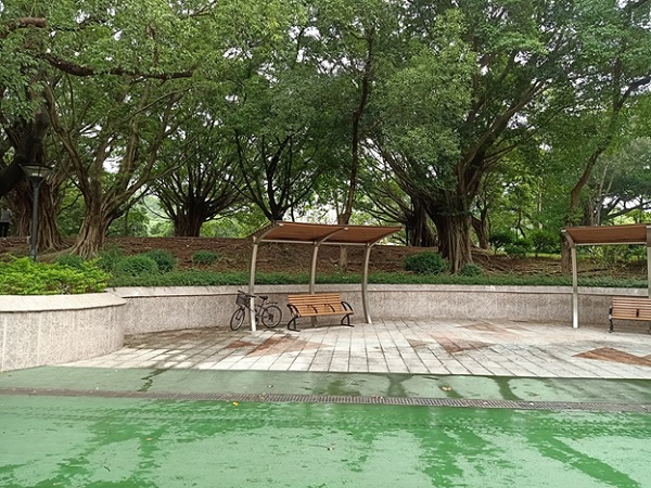 Ảnh chụp gốc