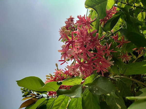 Ảnh chụp bằng chế độ HDR khắc phục được vùng cháy sáng và màu trời bị xanh hơn thực tế