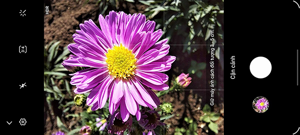 Galaxy A71 còn có camera Macro cho khả năng chụp cận cảnh rất ấn tượng nhờ độ phân giải cao 5MP và hỗ trợ chế độ HDR