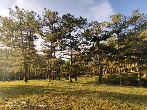 Chụp ảnh góc rộng trên điện thoại vivo V17 Pro