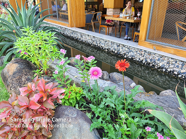 Quan sát toàn bộ cảnh vật trong tấm hình, Galaxy Note 10 Lite cho khả năng cân bằng trắng rất tuyệt vời, rõ nét, màu sắc trung thực, tăng cường độ sáng ở khu vực trong nhà, làn da người nhìn đẹp tự nhiên