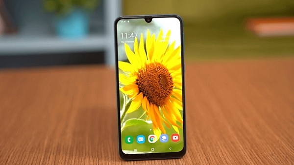 Ảnh minh họa Galaxy M31