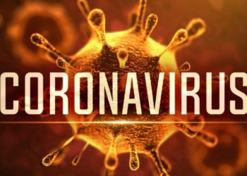 Chơi game để tìm hiểu đại dịch, giải đáp Virus Corona nguy hiểm như thế nào?