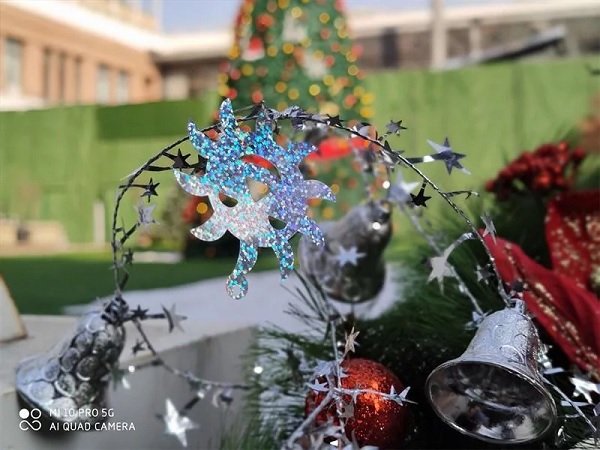 Chế độ chụp xóa phông