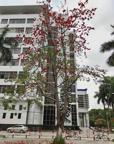 Ảnh chụp thực tế từ Mi 10