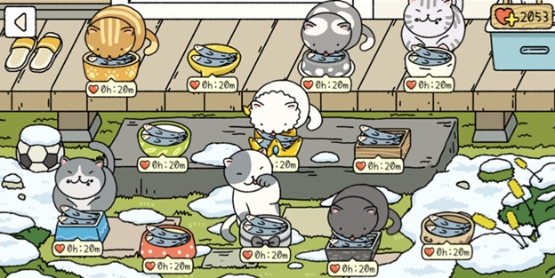 Nuôi bao nhiêu mèo tùy thích, bạn muốn chứ?