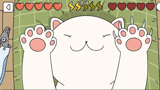 Bạn đã từng thử làm nail cho mèo chưa?