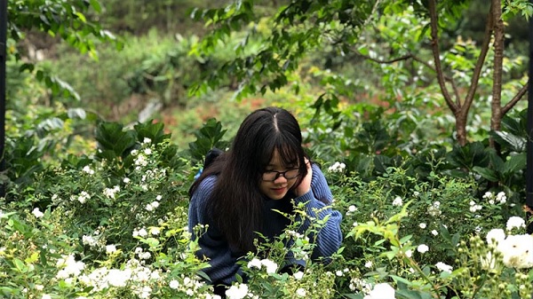 Chụp xóa phông bằng camera kép