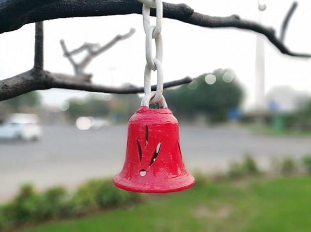 Ảnh xóa phông trên Huawei Y9 2019