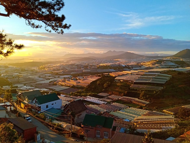 AI Scene giúp cân bằng màu sắc khi chụp trong điều kiện ngược sáng