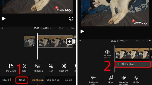 app chèn nhạc vào video cho iphone
