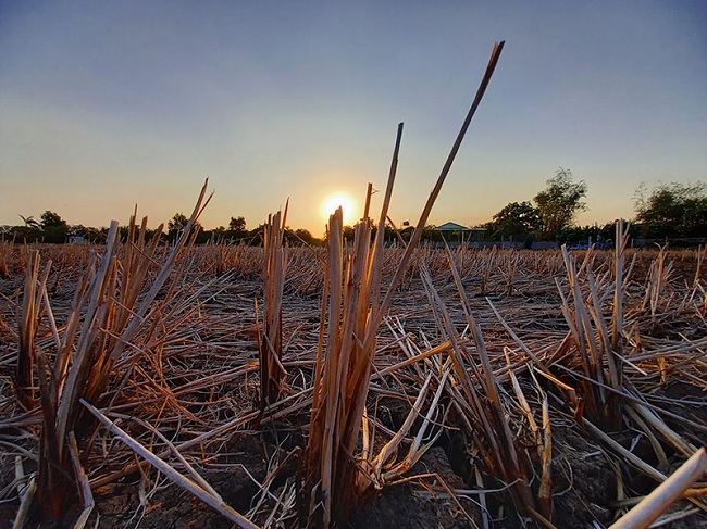 Chụp ảnh ngược sáng bằng camera góc siêu rộng