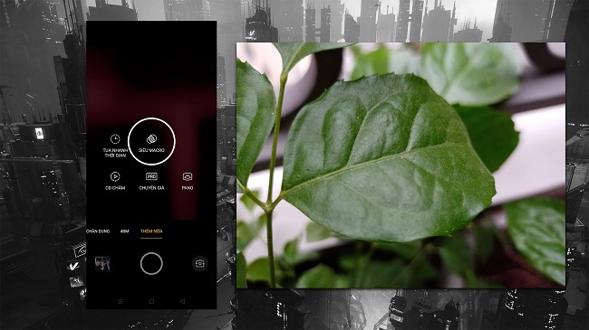 Để chụp được ảnh marco đẹp thì chúng ta cần một chút kĩ thuật và kiên trì