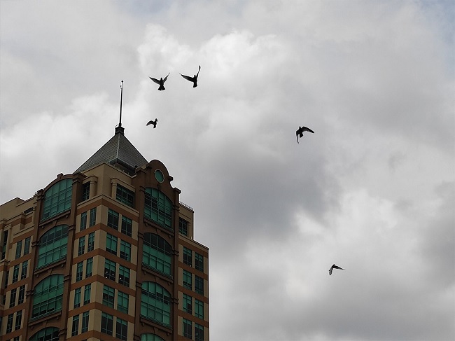 Chụp Zoom khi bầu trời có nhiều mây