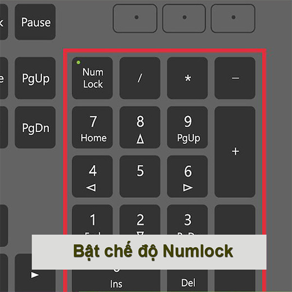 Nhấn bật lại phím NumLock để bật bàn phím số