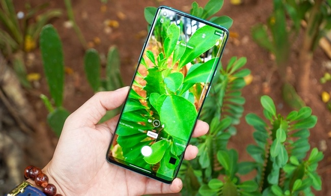 Chụp thử cây cối từ OnePlus 8 Pro 5G
