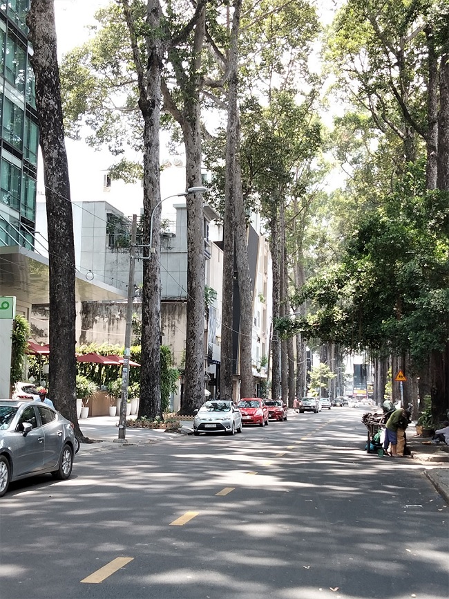 Ảnh chụp dưới bóng râm