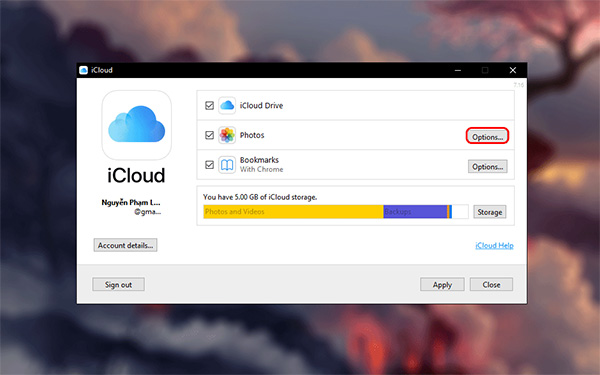 Thêm các tùy chọn cho mục Photos, hãy nhấn nút Options