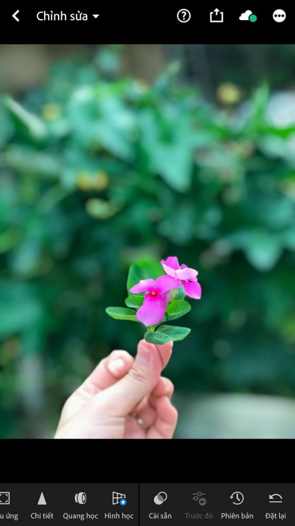 Hãy chọn vào tùy chọn Cài sẵn để ứng dụng một preset vào ảnh của bạn nhé