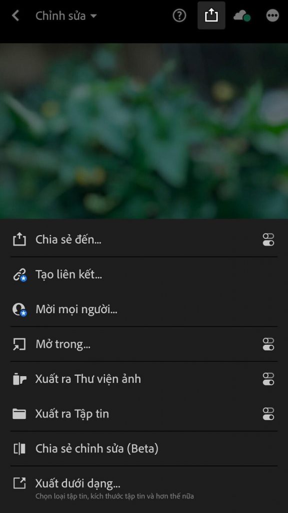 Có rất nhiều cách thức chia sẻ trên Lightroom cho bạn lựa chọn