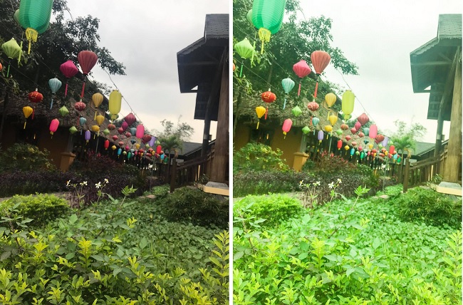 Hãy cùng so sánh độ sắc và màu của hình ảnh trong bức ảnh gốc (bên trái) và bức ảnh đã chỉnh sửa bằng Lightroom (bên phải)