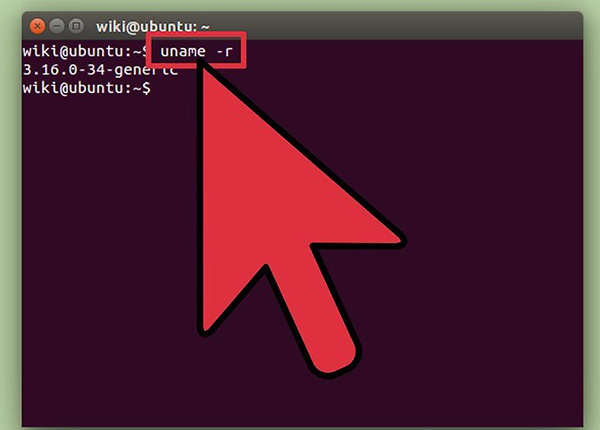 Cách kiểm tra tốc độ xử lý của CPU trên máy tính Linux (1)