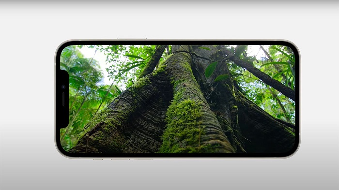 Màn hình iPhone 12 cho hiển thị xuất sắc