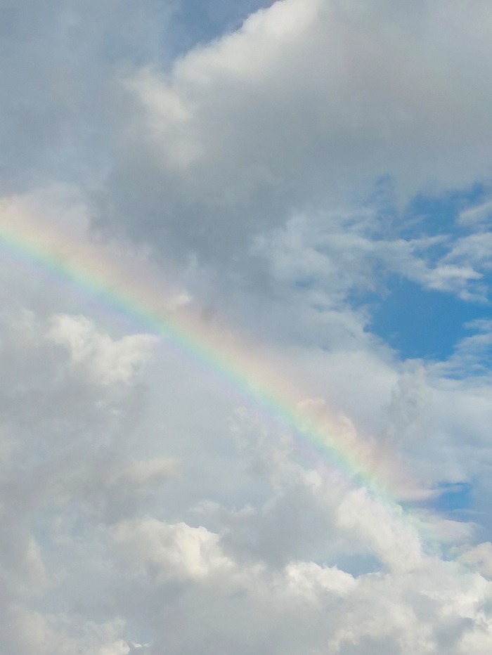 Ảnh chụp ở chế độ zoom 2x trong điều kiện đủ sáng