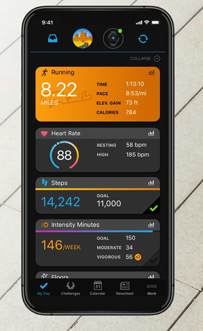 Garmin Connect theo dõi sát sao các chỉ số sức khỏe khi tập luyện 