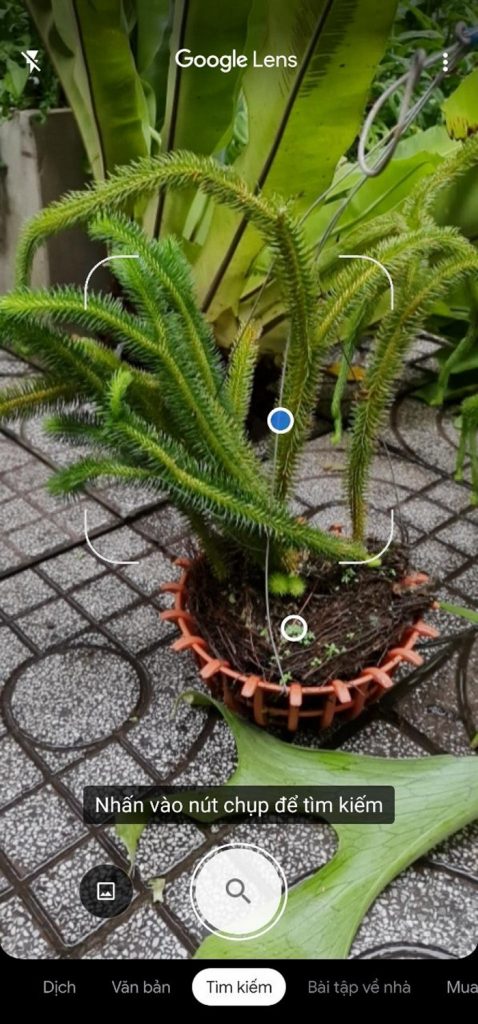 Giao diện của ứng dụng Google Lens, rất nhiều công cụ hữu ích cho người dùng tại đây. Tuy nhiên trong trường hợp này chúng ta hãy chọn “Tìm kiếm”
