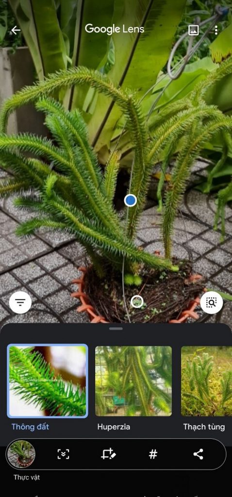 Có 1 dấu chấm màu xanh xuất hiện trong vùng chọn của Google Lens, bạn hãy kéo nó đến bất kỳ vị trí nào mà bạn muốn chụp