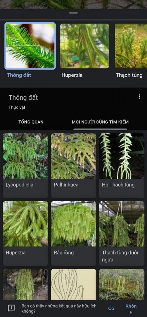 Các kết quả được hiển thị ra sau khi bạn nhấn chụp