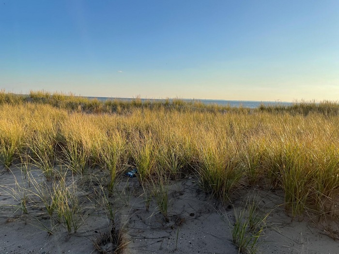 Ảnh chụp của iPhone 12 mini