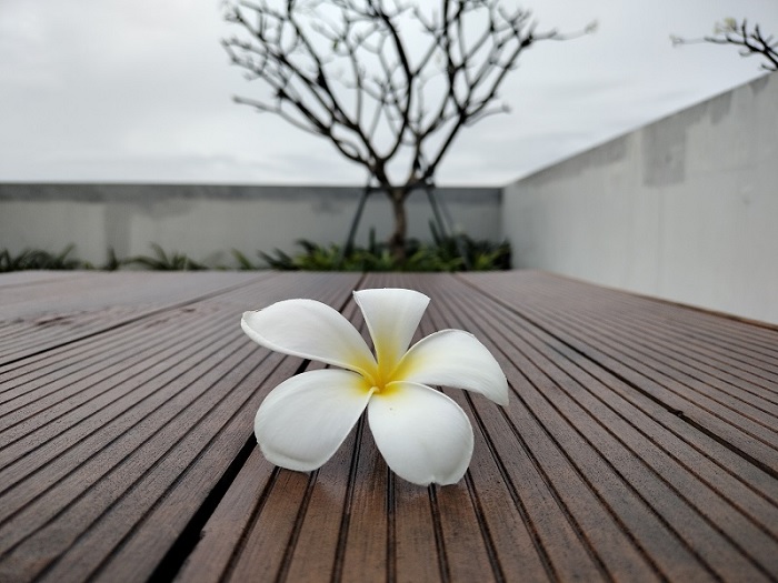 Ảnh này được chụp bằng camera chính cho chất lượng màu sắc rất tốt