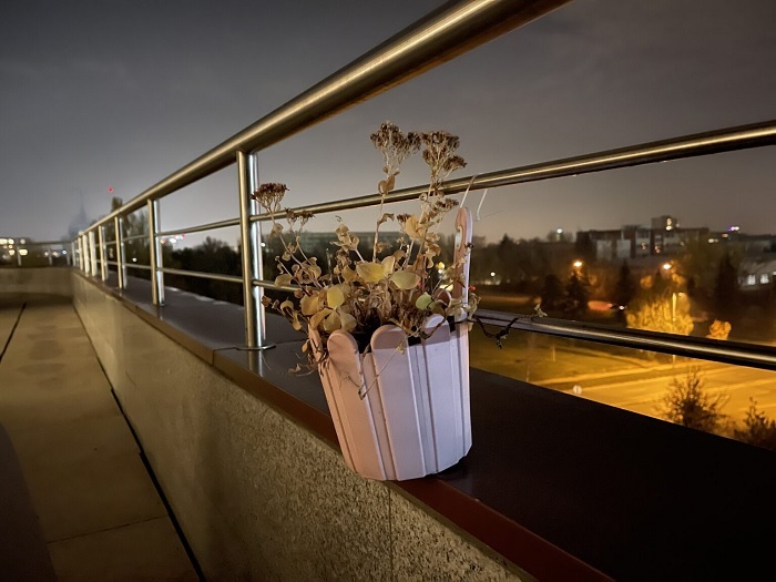 đánh giá iPhone 12 Pro Max