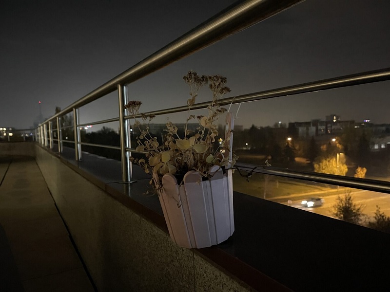 đánh giá iPhone 12 Pro Max