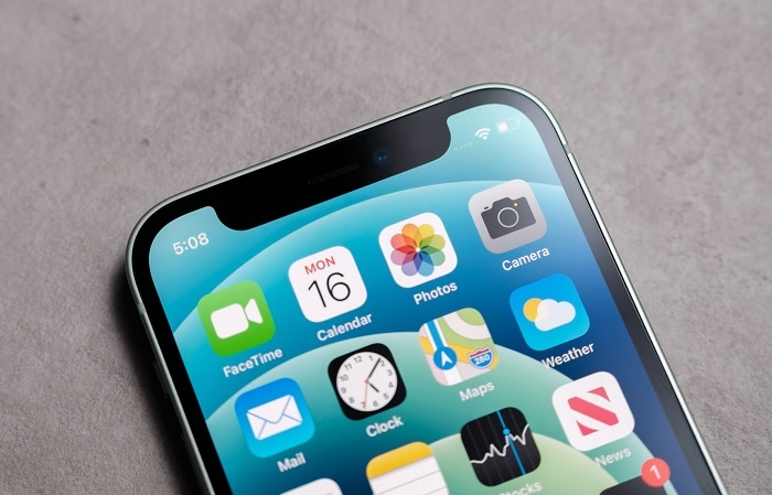 Tai thỏ của iPhone 12 mini có kích thước bằng iPhone 12 Pro và vẫn sẽ có các biến trên đó bao gồm cả FaceID